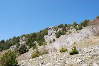 Monte cucuzzo  Aprile 2018 (29)